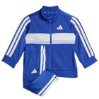 ROYBLU/GLOBLU/W